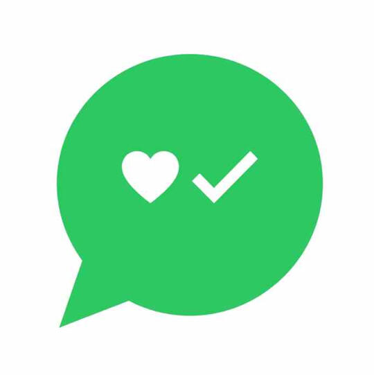 Flat icon illustration, a WhatsApp chat bubble containing a small heart and a checkmark, clean minimal style, brand green colour, white background. No text in image.